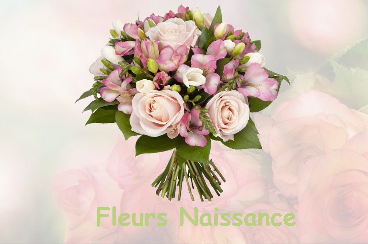 fleurs naissance SAINT-AGNET