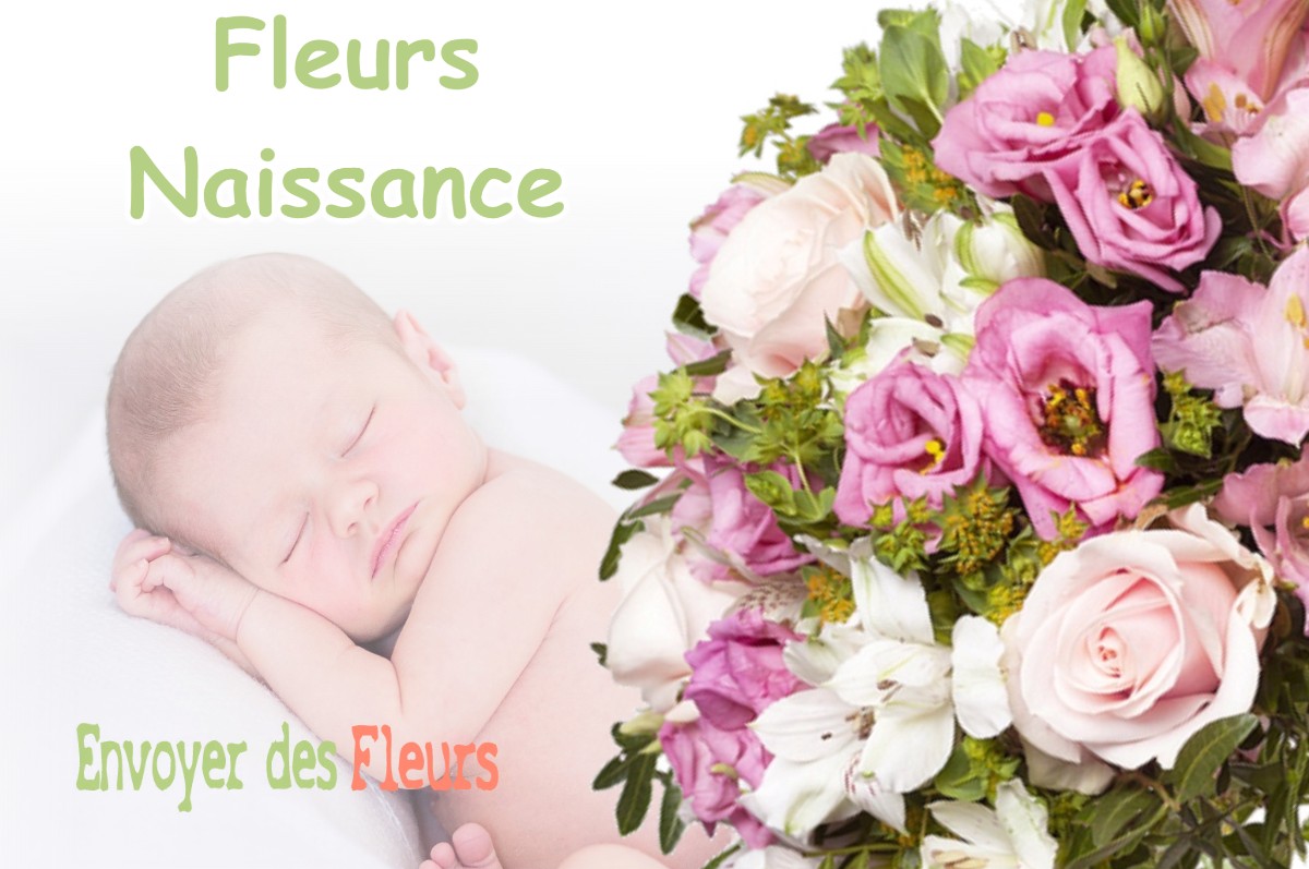 lIVRAISON FLEURS NAISSANCE à SAINT-AGNET